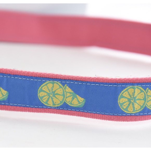 Talbots Women Sz L Lemon Print Ribbon Belt Canvas Leather Blue Preppy D Ring USA - Picture 5 of 8